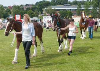 Leek show 2014-14