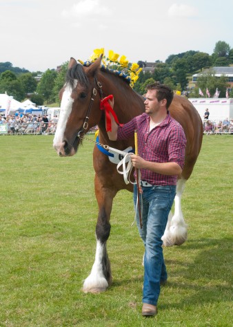 Leek show 2014-15