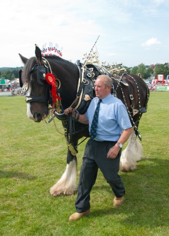 Leek show 2014-17