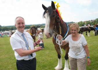 Leek show 2014-5