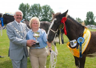Leek show 2014-7