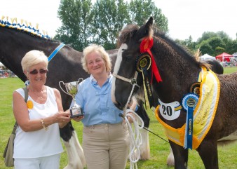 Leek show 2014-9