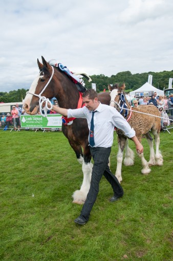 Leek show 2016-100