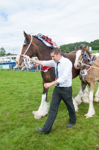 Leek show 2016-101