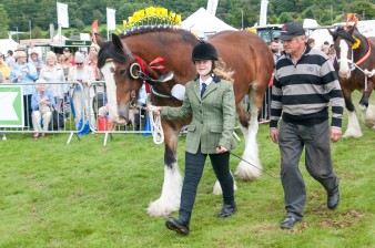 Leek show 2016-103