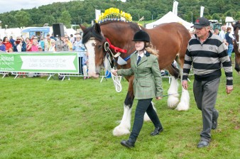 Leek show 2016-104