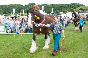 Leek show 2016-105