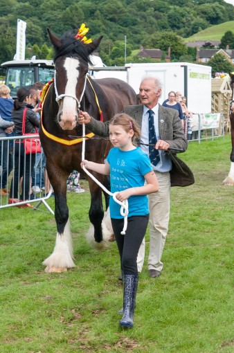 Leek show 2016-106