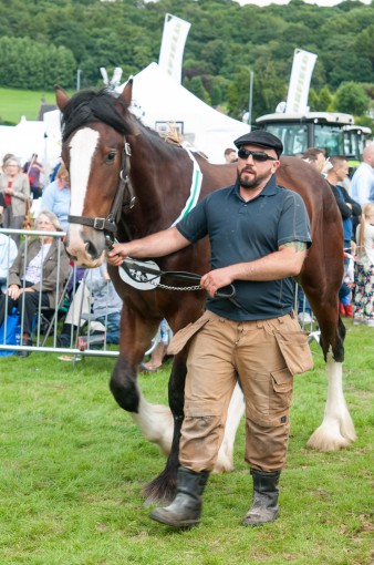 Leek show 2016-107