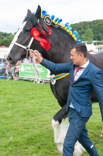 Leek show 2016-109