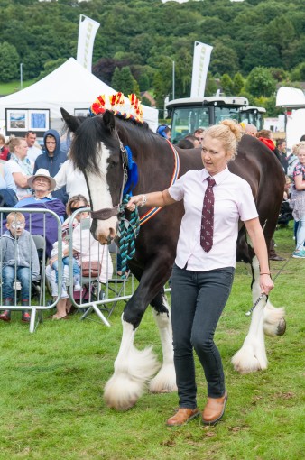 Leek show 2016-111