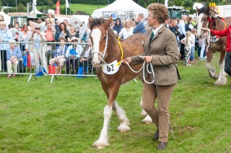 Leek show 2016-112