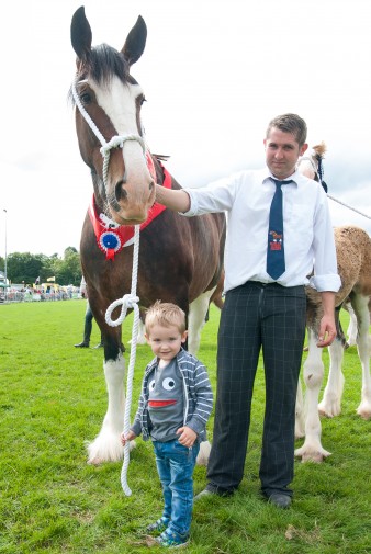 Leek show 2016-118