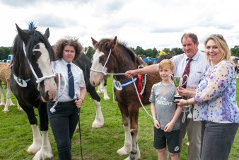 Leek show 2016-128