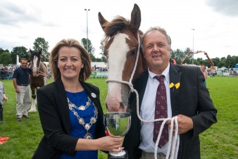 Leek show 2016-129