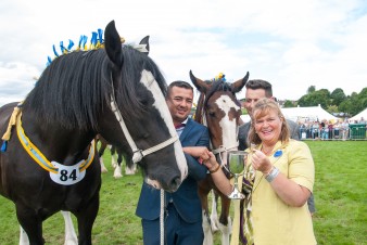 Leek show 2016-131