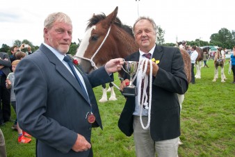 Leek show 2016-134