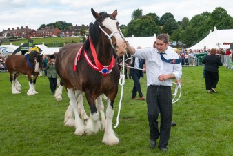 Leek show 2016-135