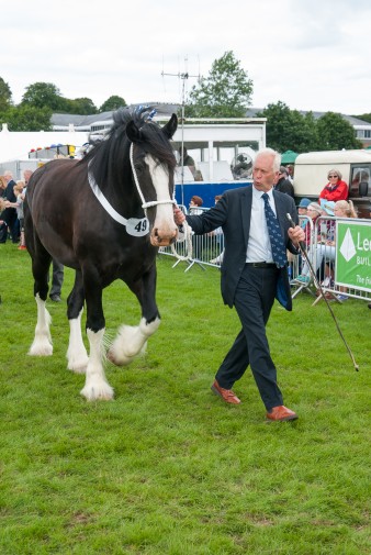 Leek show 2016-137