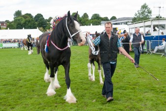 Leek show 2016-142