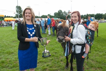 Leek show 2016-145