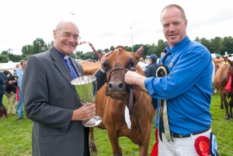 Leek show 2016-152