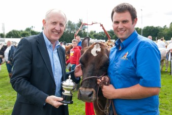 Leek show 2016-153