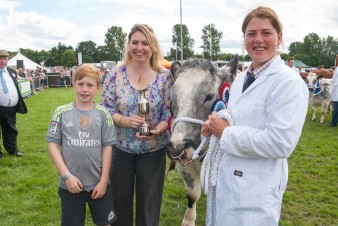 Leek show 2016-173