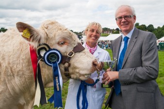 Leek show 2016-177