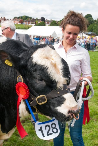 Leek show 2016-186