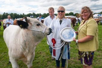 Leek show 2016-191