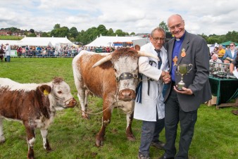 Leek show 2016-192