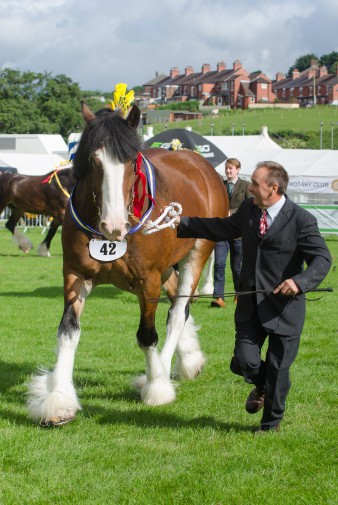 Leek show 2016-2