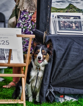 Leek show 2016-203