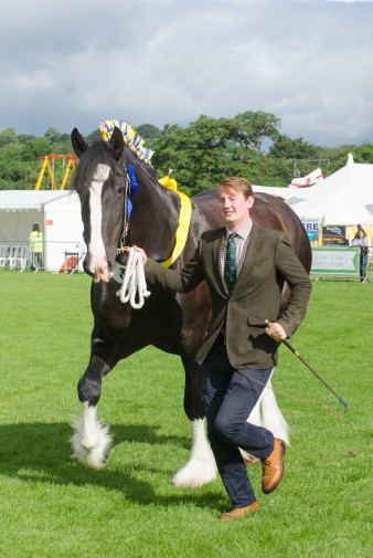 Leek show 2016-3