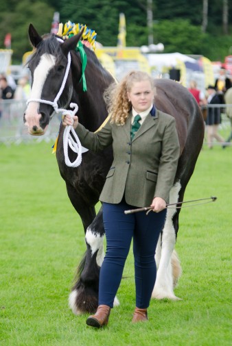 Leek show 2016-36