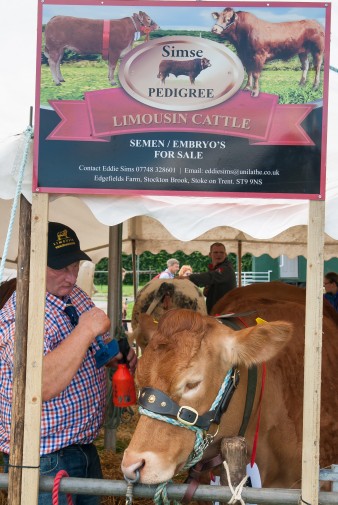 Leek show 2016-43