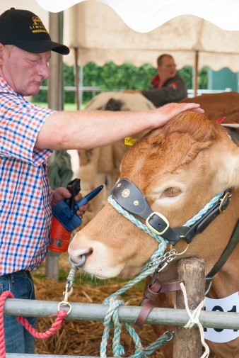 Leek show 2016-44