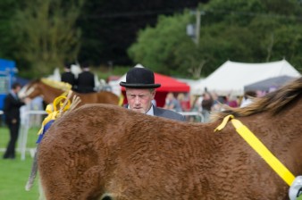 Leek show 2016-45