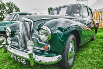 Leek show 2016-59