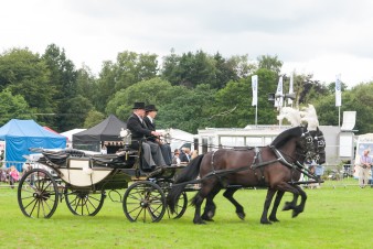 Leek show 2016-69