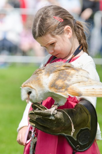 Leek show 2016-82