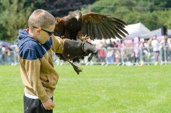 Leek show 2016-83