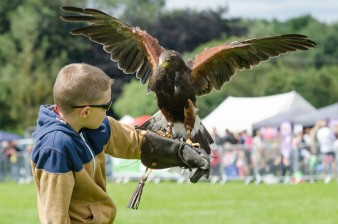 Leek show 2016-84