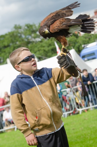 Leek show 2016-85