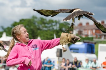 Leek show 2016-88