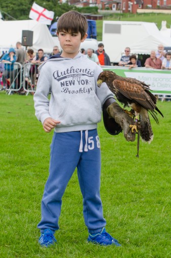 Leek show 2016-89