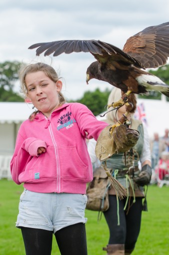 Leek show 2016-90