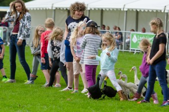 Leek show 2016-93