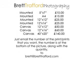 price list prints 2019